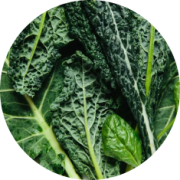 Lutein