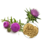 Milk Thistle