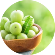 Amla