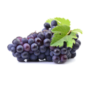 Resveratrol