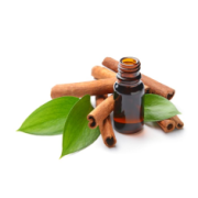 Cinnamon Oil