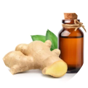 Ginger Oil